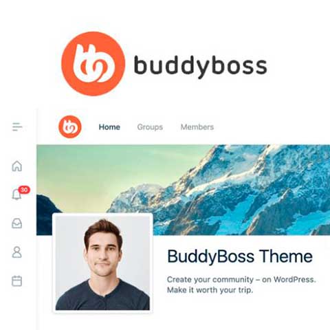 BuddyBoss Theme and Platform Pro