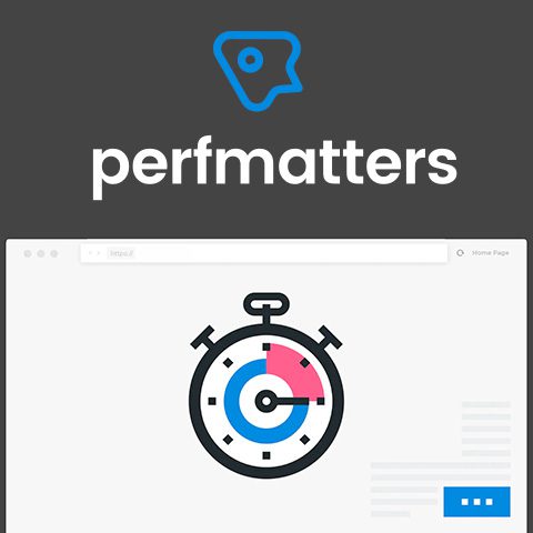 Perfmatters – Lightweight WordPress Performance Plugin