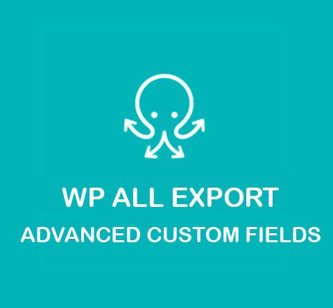 WP All Export Advanced Custom Fields Add-On